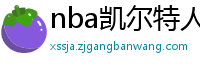 nba凯尔特人vs热火